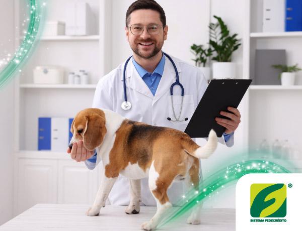 ¡Tu mascota merece una experiencia especial!